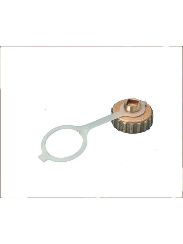 Pettinaroli Cap washer and chain