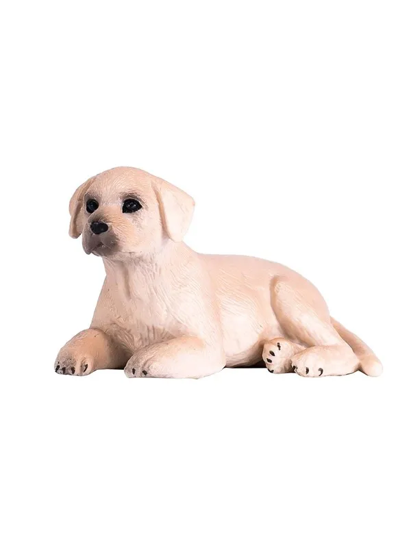 Mojo Farmland Labrador Puppy