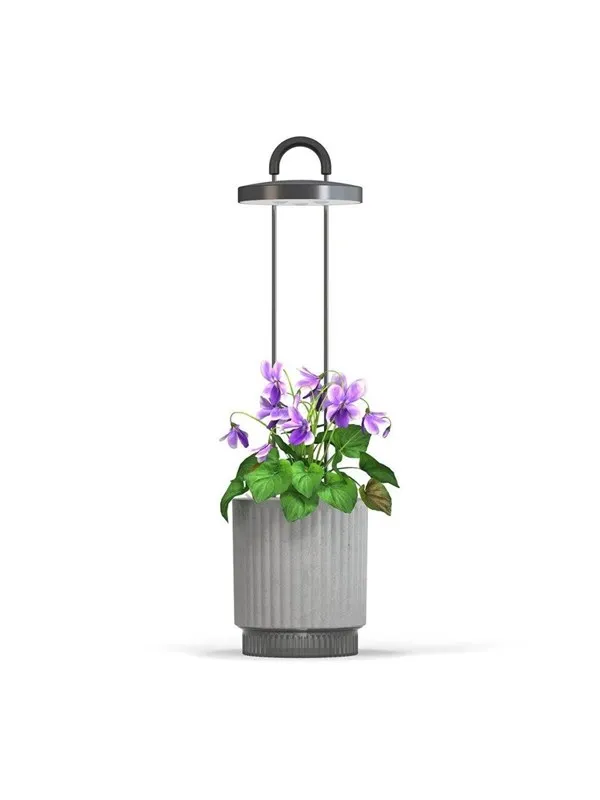 Click & Grow HydroVase Indoor Plant Care Kit with LED Light Self-Watering and Automatic Timer - Gray