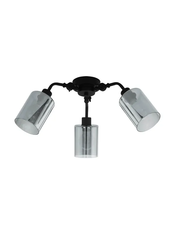 EGLO FORESTBURG ceiling light black-transparent
