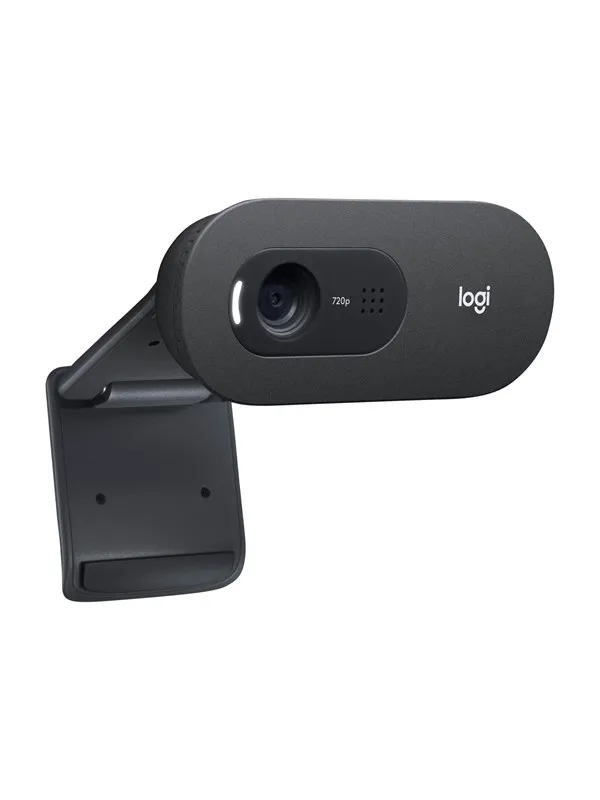 Logitech C505e