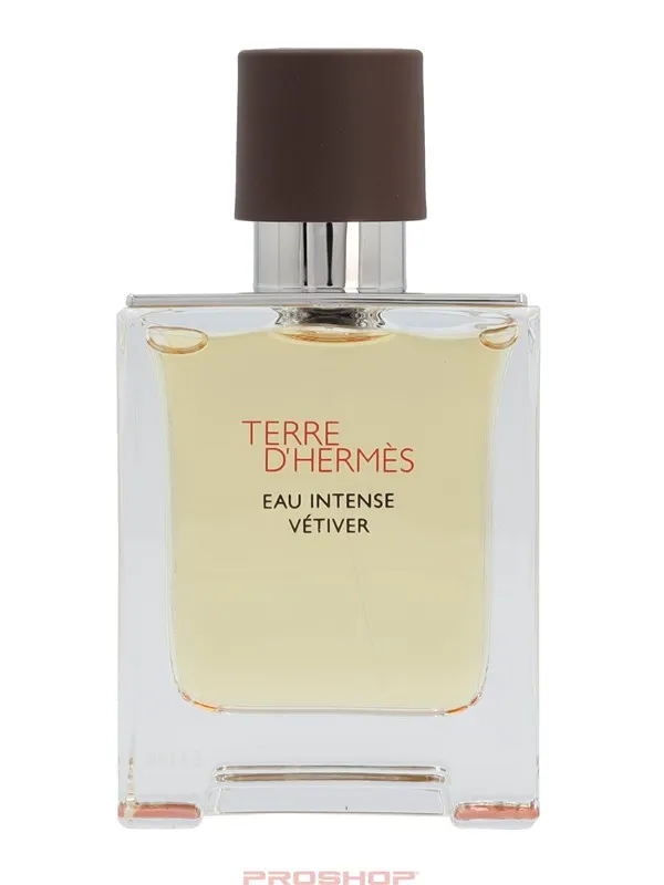 Hermès Terre D' Eau Intense Vétiver - Spray