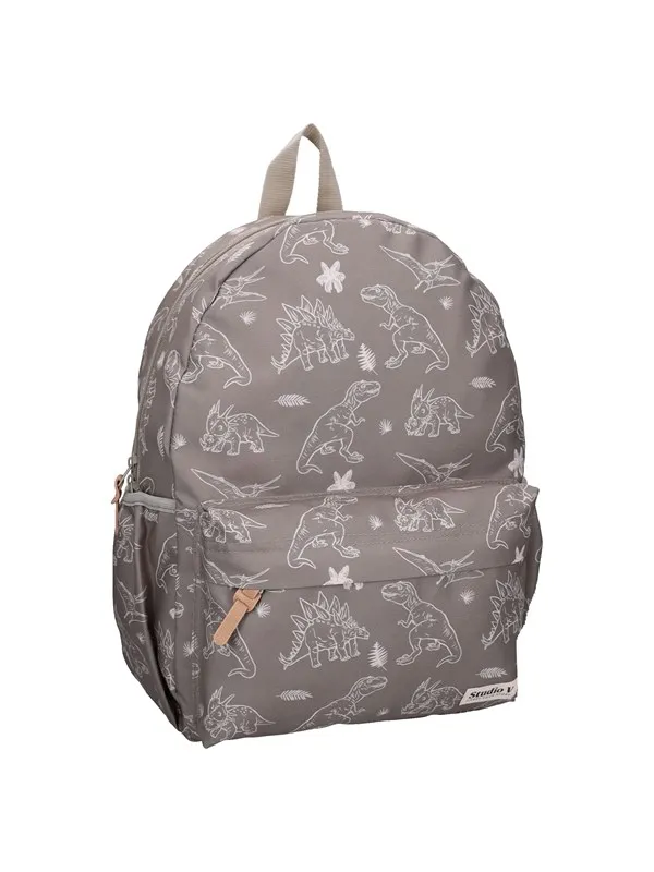 Studio V Backpack  Fossil Files