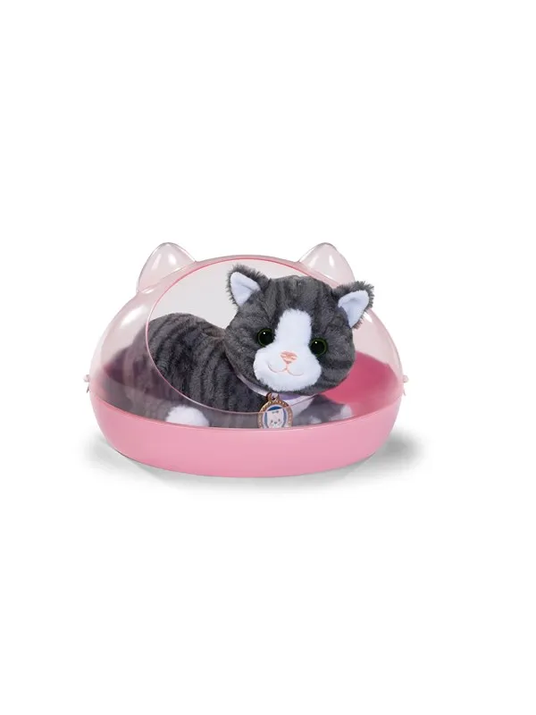 Baby Born My Cat Cookie with Box