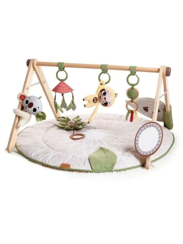 Tiny Love Boho Chic - Luxe Developmental Gymini