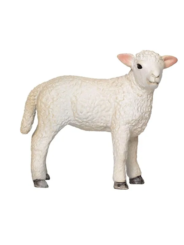 Mojo - Farmland Romney Lamb Standing - 381065