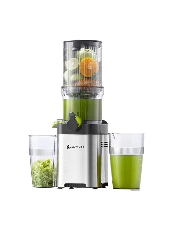 AMZCHEF CE-ZM1902M-SV Slow Juicer