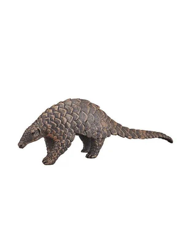 Mojo Wildlife Indian Pangolin