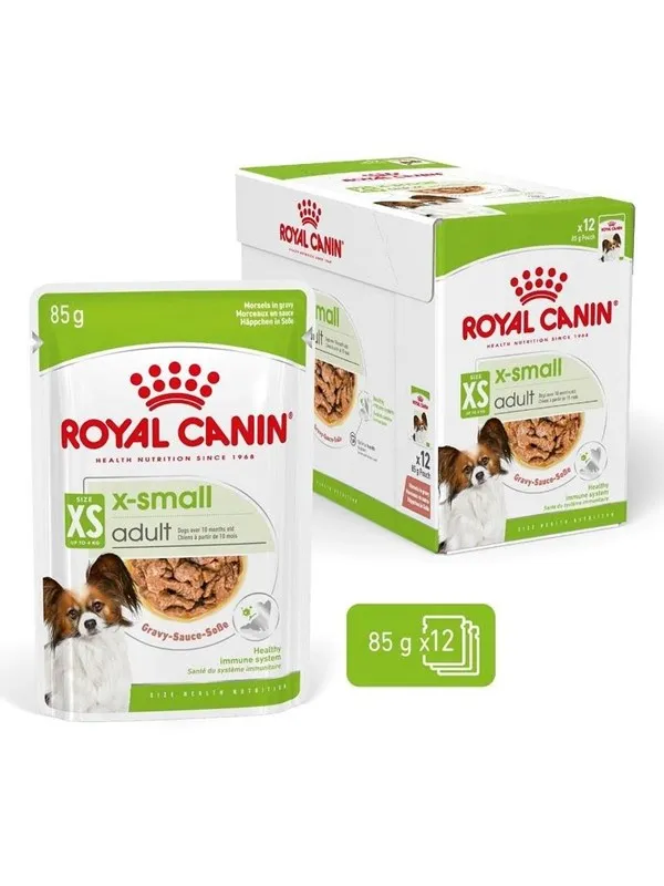 Royal Canin Adult xs-small - wet dog food - 12 x 85g