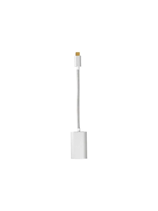 Nedis Fabritallic - USB / DisplayPort adapter - 20 cm