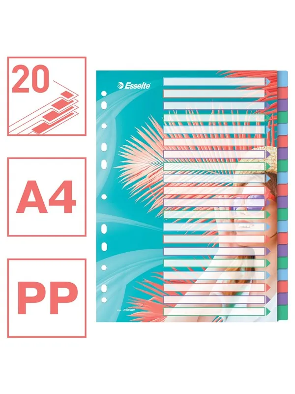 Esselte  Colour'Breeze A4 Indices 20 Tabs PP