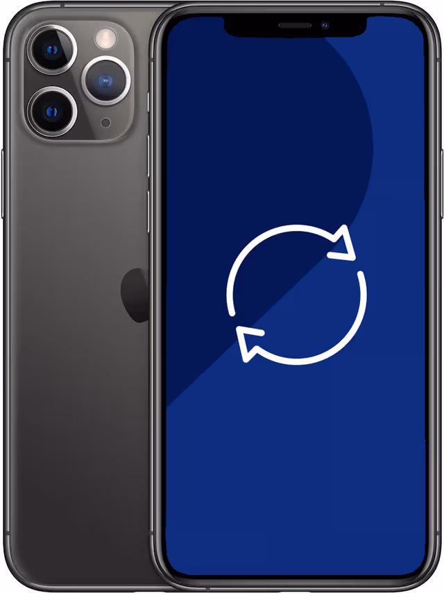 Brukt iPhone 11 Pro Max smarttelefon 64 GB (stellargrå)