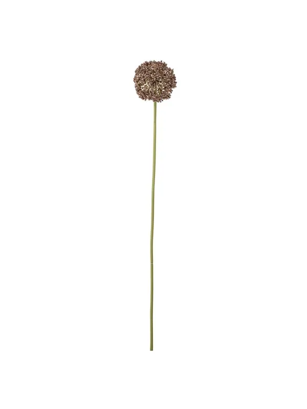 Bloomingville Allium