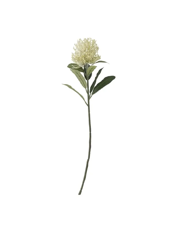 Bloomingville Needle Flower