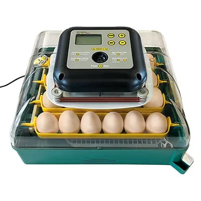Kompakt RYOM rugemaskin for 24 egg
