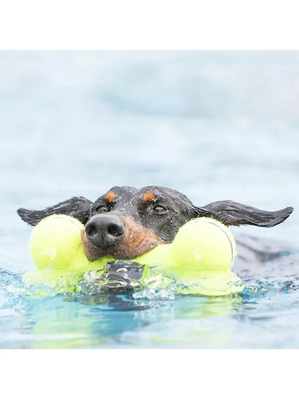 KONG Hundeleke AirDog Squeaker Bone 11cm