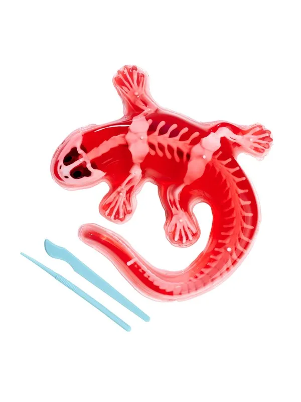 Simba Scout Dissect-It Salamander