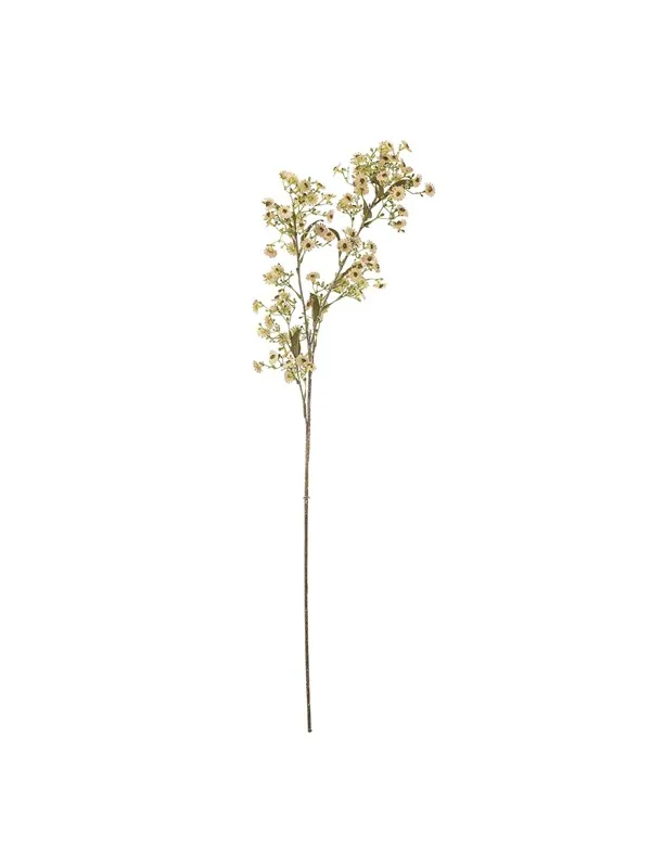 Bloomingville Waxflower