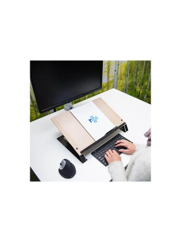 R-Go Tools R-Go Read2Write