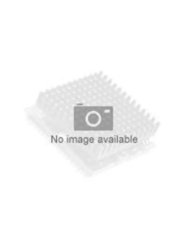 Lenovo Intel Xeon E5-2637V4 / 3.5 GHz Processor Prosessor/CPU - 4 kjerner - 3.5 GHz