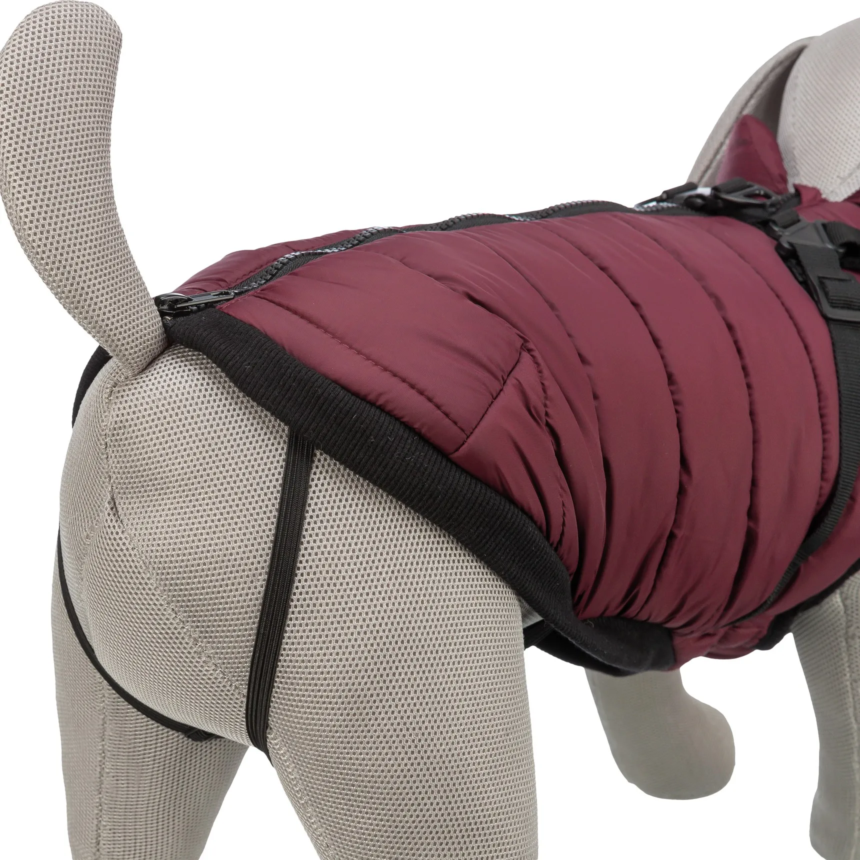 Trixie Pirou vinterjakke med hundesele - XS 30cm - Sangria