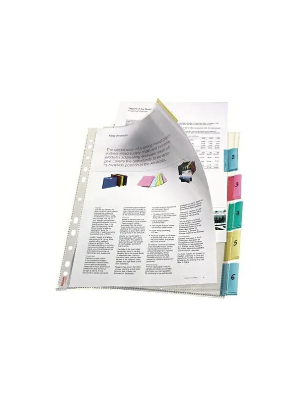 Esselte - L-shaped folder - 6 parts - for A4 Maxi - capacity: 30 sheets - tabbed - clear glass
