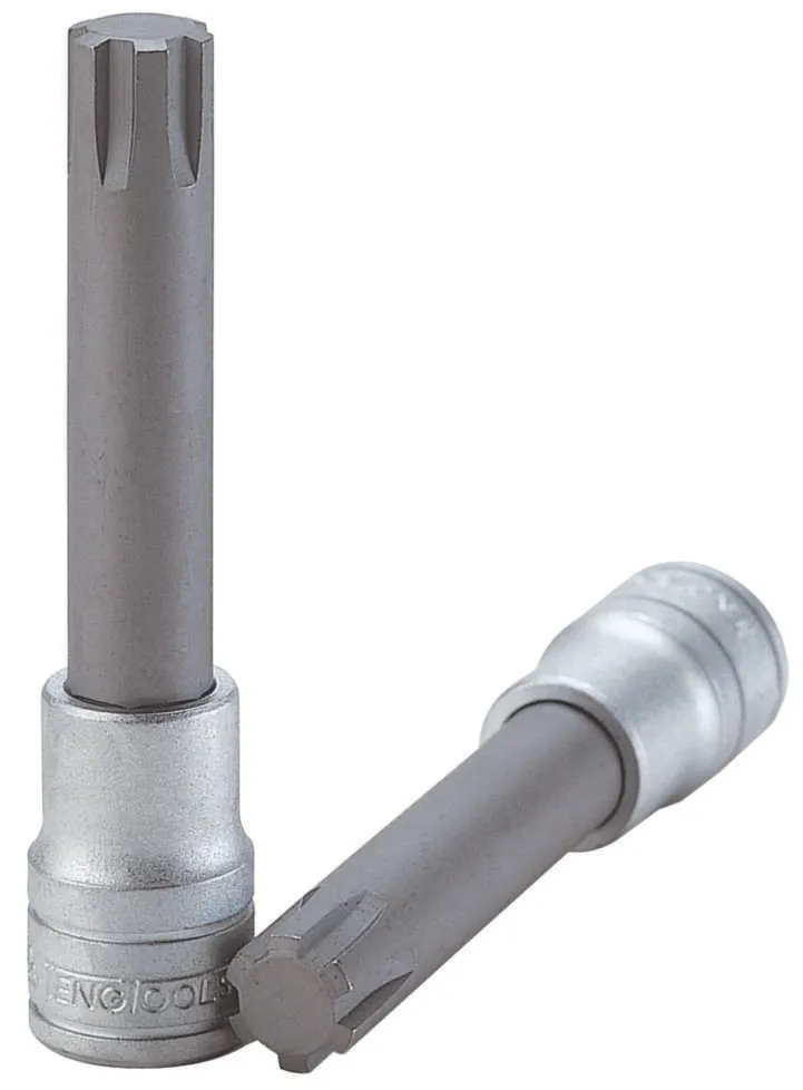 Topbits ribe 05 m122705-c