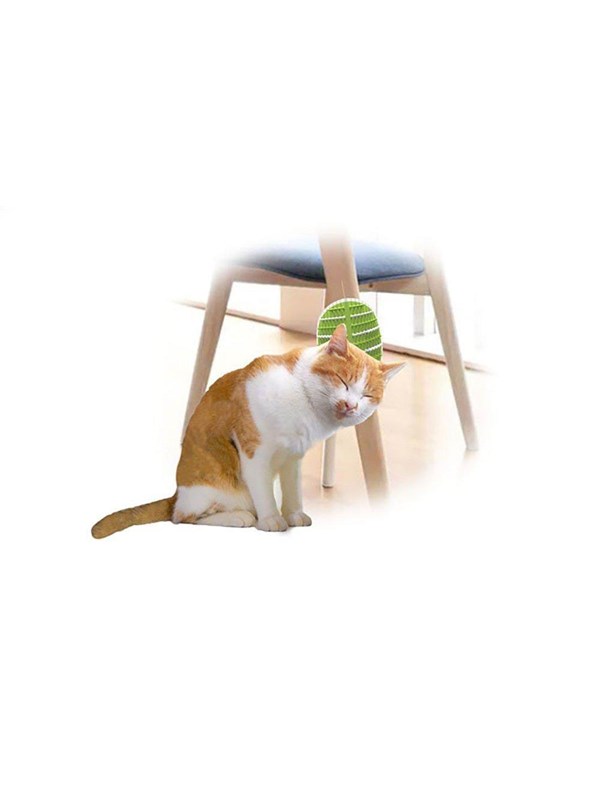 AFP All For Paws - Groomer 2 In 1 20.3X11X2.2Cm - (781.1025)