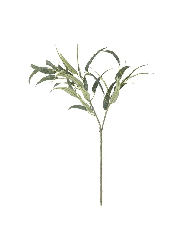 Bloomingville Eucalyptus