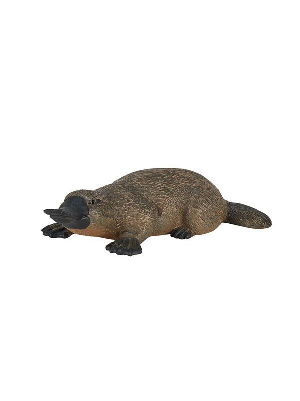 Mojo Wildlife Platypus