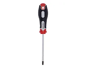 Skrujern Torx 25 x 100 mm