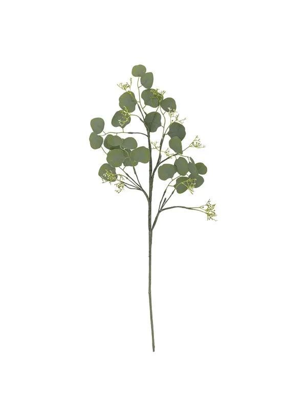 Bloomingville Eucalyptus