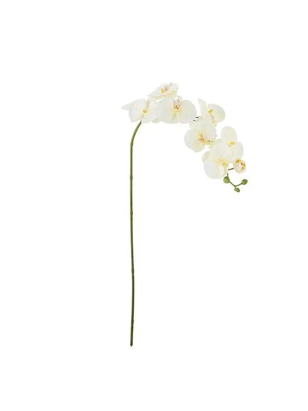 Bloomingville Orchid