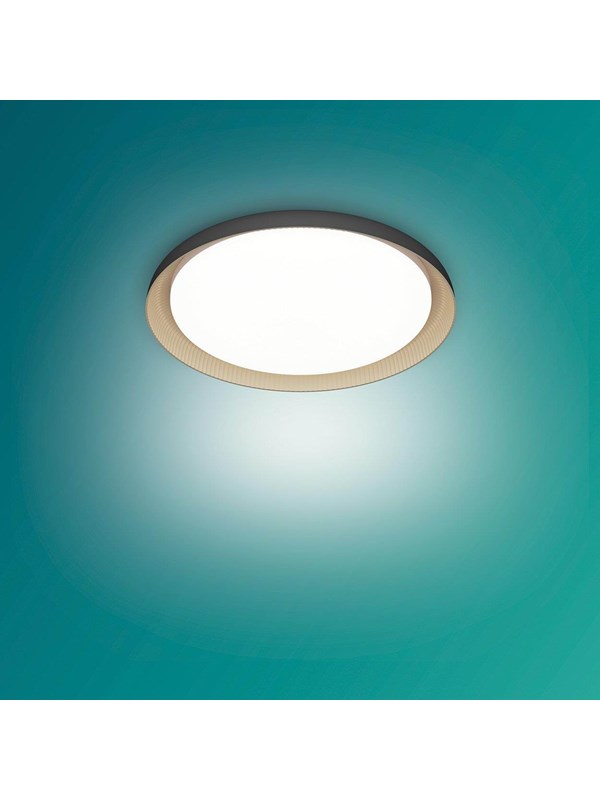 Philips Pebblo UE Ceiling SS B 10W 40K