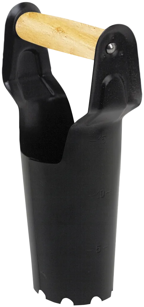 Løkplanter P241
