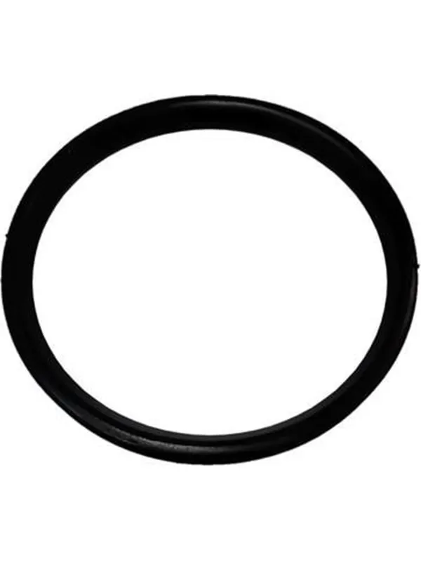 ALIAXIS Dblue sealing ring ø75
