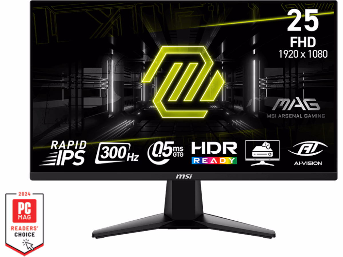 24,5" MSI MAG 255XF - 1920x1080 (FHD) - 300Hz - IPS
