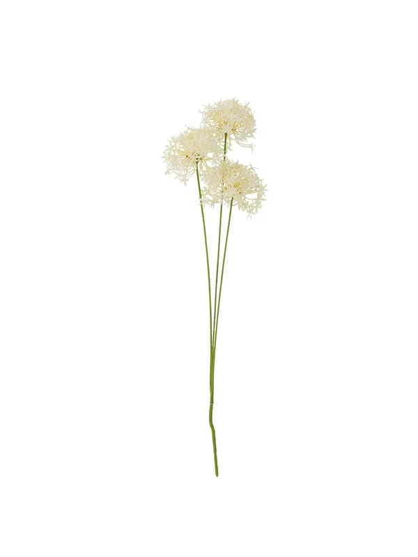 Bloomingville Allium
