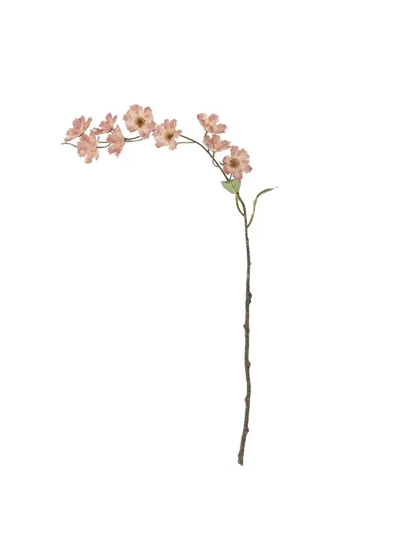Bloomingville Wild Cherry