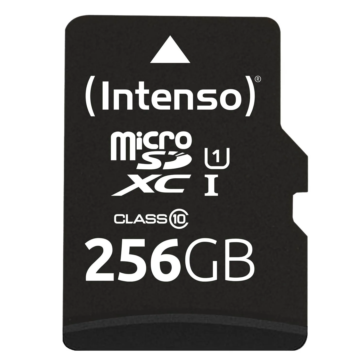 Intenso Premium 256GB