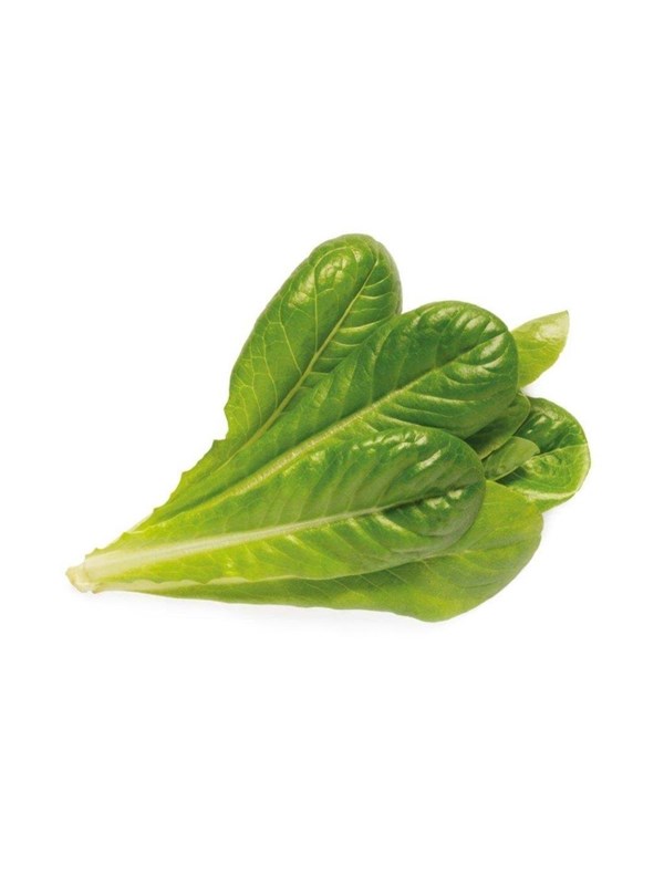 Click & Grow Smart Garden Refill 3-pack - Romaine Lettuce