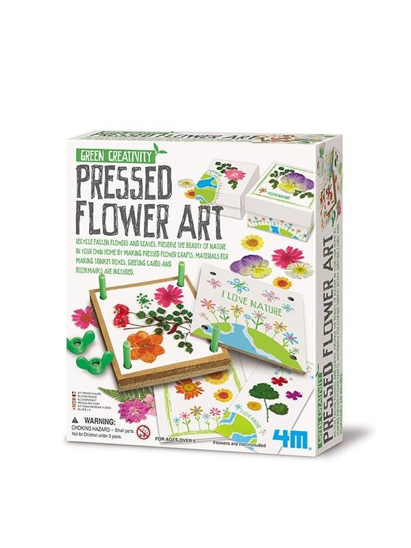 4M Green Creativity/Pressed flower art