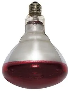Philips Infrarød halogenpære Heat lamp BR125 250W Dimmable E27