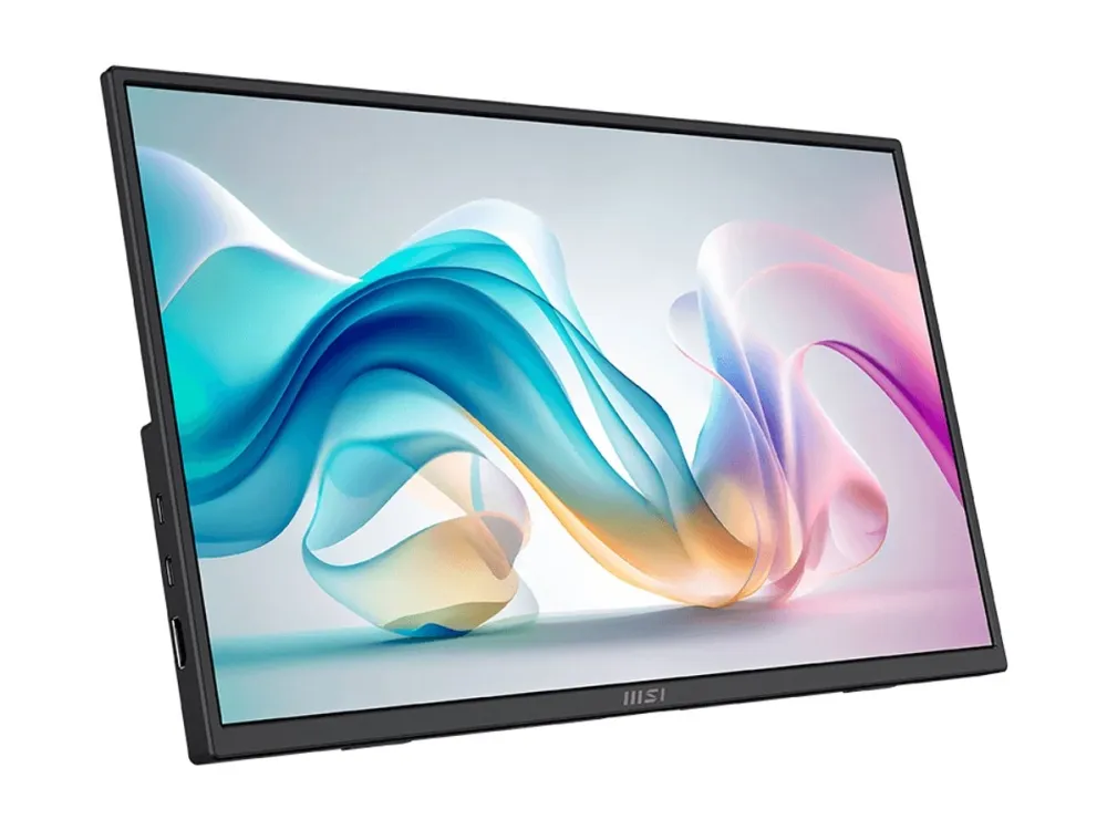 16" MSI PRO MP165DE E6 - LED monitor - Full HD (1080p) - 16"