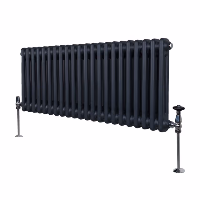 Tradisjonell horisontal 2-søylet radiator - 300 x 1012 mm - Antrasittgrå
