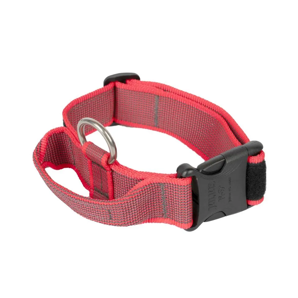 Julius-K9 C&G halsbånd med håndtak 49-70 cm-50 mm - Rosa