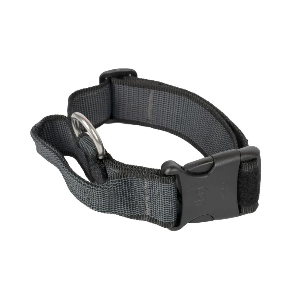 Julius-K9 C&G Halsbånd med Håndtak 38-53 cm- 40 mm - Blå