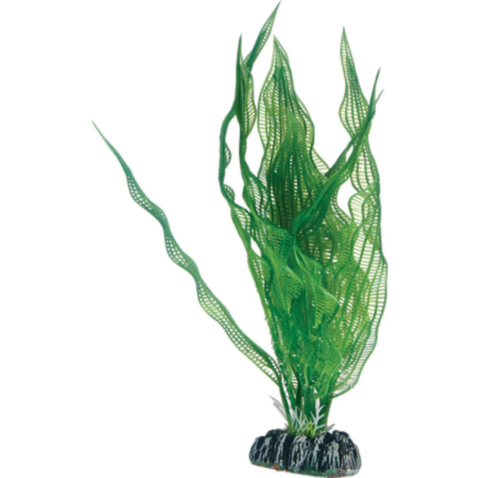 Plastplante Aponogeton - 25 cm