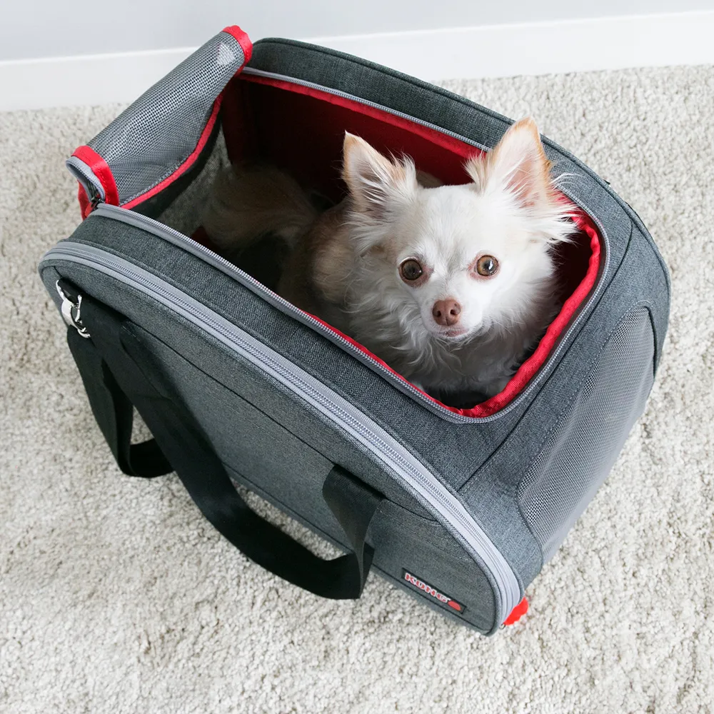 KONG Travel 2âinâ1 Transportbag og Liggeunderlag