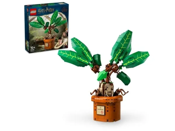 LEGO Harry Potter 76433 Alruneplante